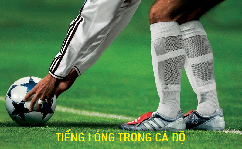 Tiếng lóng trong cá độ bóng đá thường dùng Tieng long trong ca do bong da thuong dung
